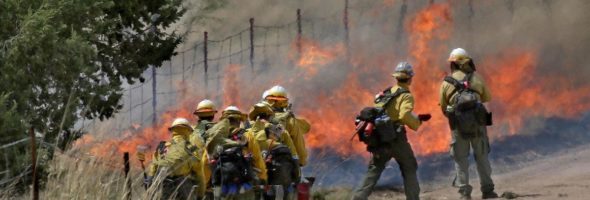 Esta fiesta para revelar el género del bebé terminó en tragedia para el bosque de Coronado